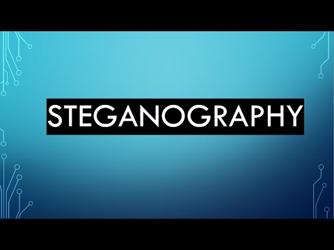 Steganography kya hota hai?? What is Steganography and WHY It's a Secret Keeper!