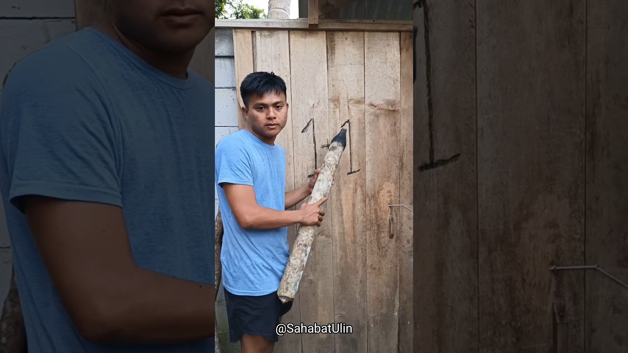 Membuat Pensil Terbesar di Dunia untuk Belajar βοΈ