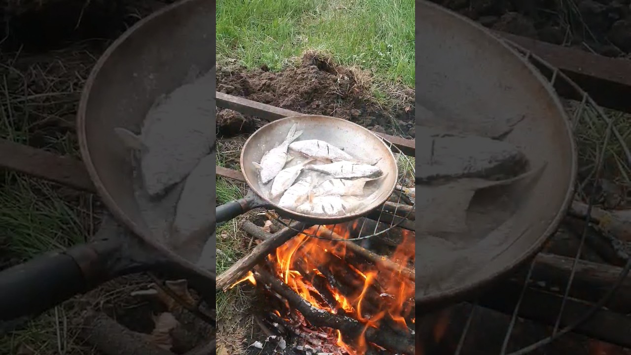 Рыбалка с ночёвкой весной 2023 🌿