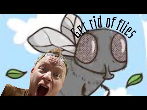 Effective DIY Flies Trap 🪰