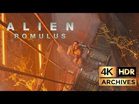 4K Archives