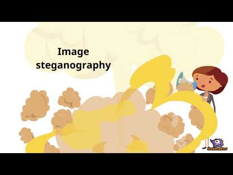 Unlocking Secrets: Steganography & Cryptography Explained 🔐