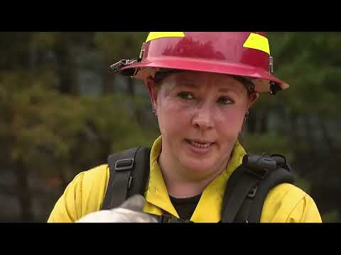 Brookhaven National Laboratory hold controlled burn in pine barrens to prevent future wildfires