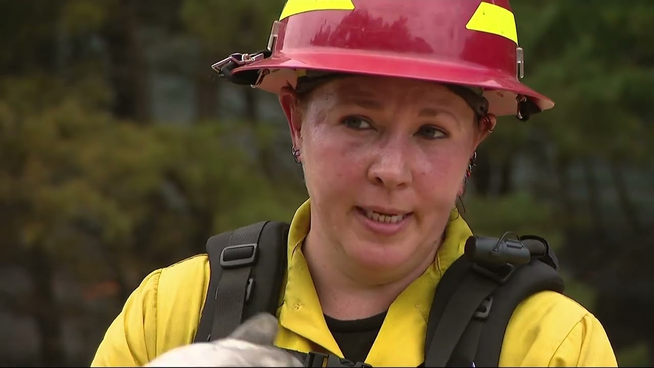 Brookhaven National Laboratory Conducts Controlled Burn in Pine Barrens to Mitigate Wildfire Risk
