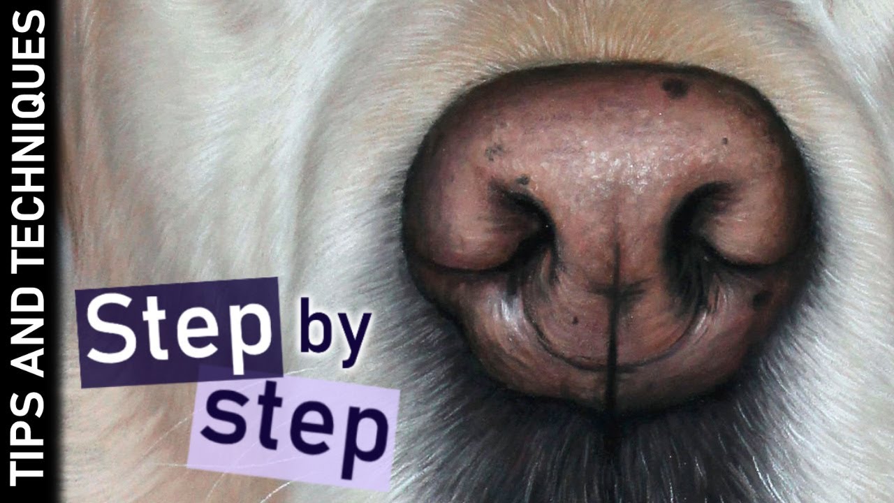 How to Draw a Realistic Dog Nose in Pastels | Step-by-Step Tutorial