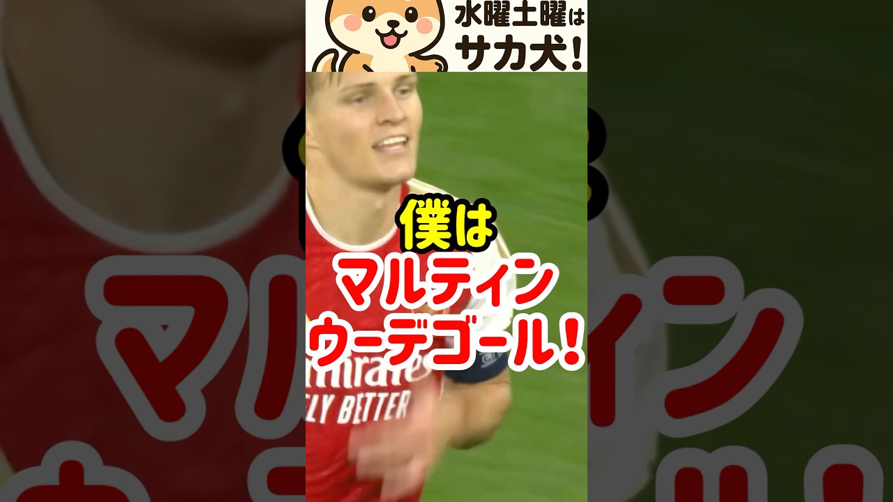 【北欧の魔術師】マルティン・ウーデゴールの魅力とプロフィール