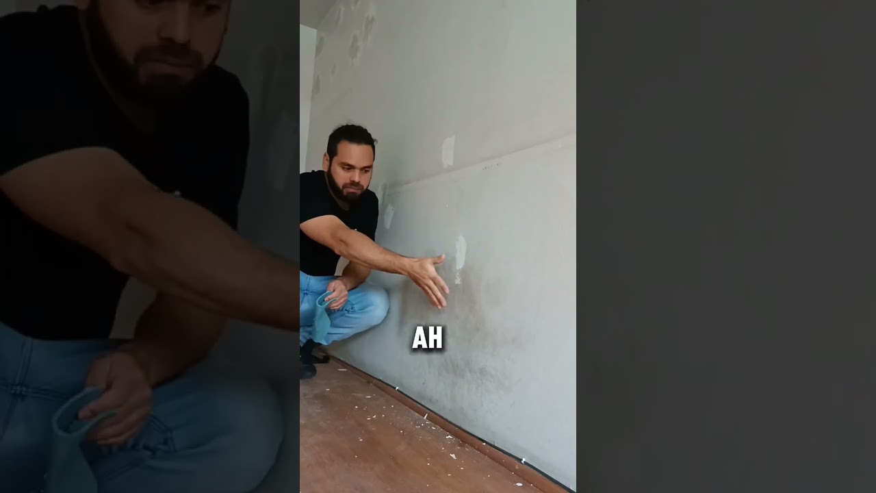 ¿Cuál es la diferencia entre pintura látex y esmalte al agua? 🖌️