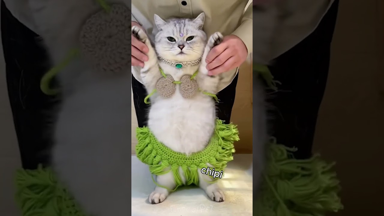 Chipi Chipi Chapa Chapa Meme Remix 🎉