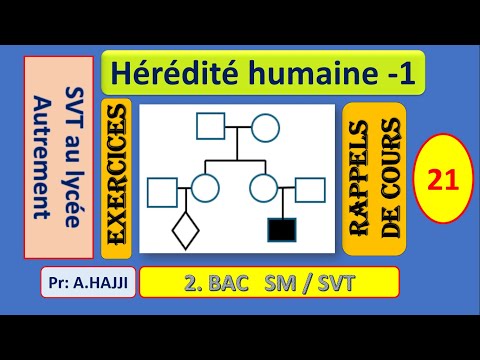 Hérédité humaine -1: Rappels de cours et exercices
