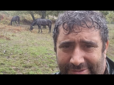 se cortan esta mañana los directos