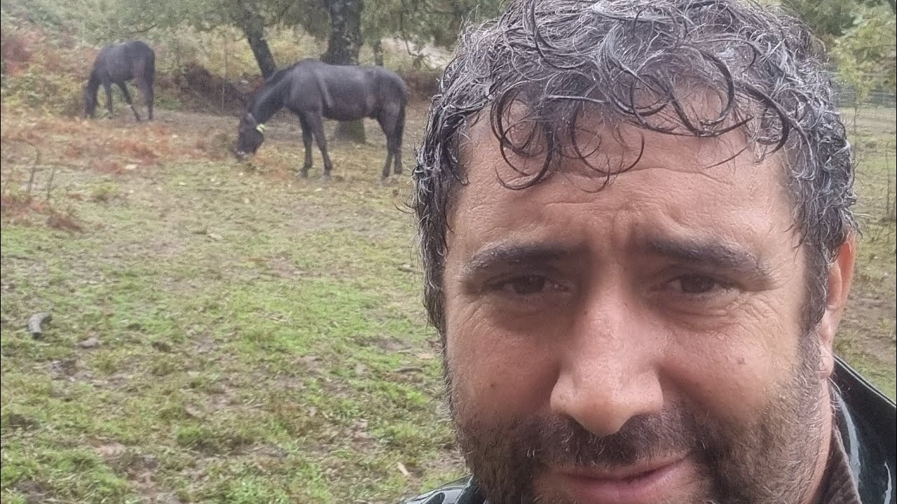 ¡Atención! Los directos se cortan esta mañana ⏰