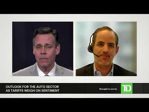 The road ahead for the auto sector amid tariffs