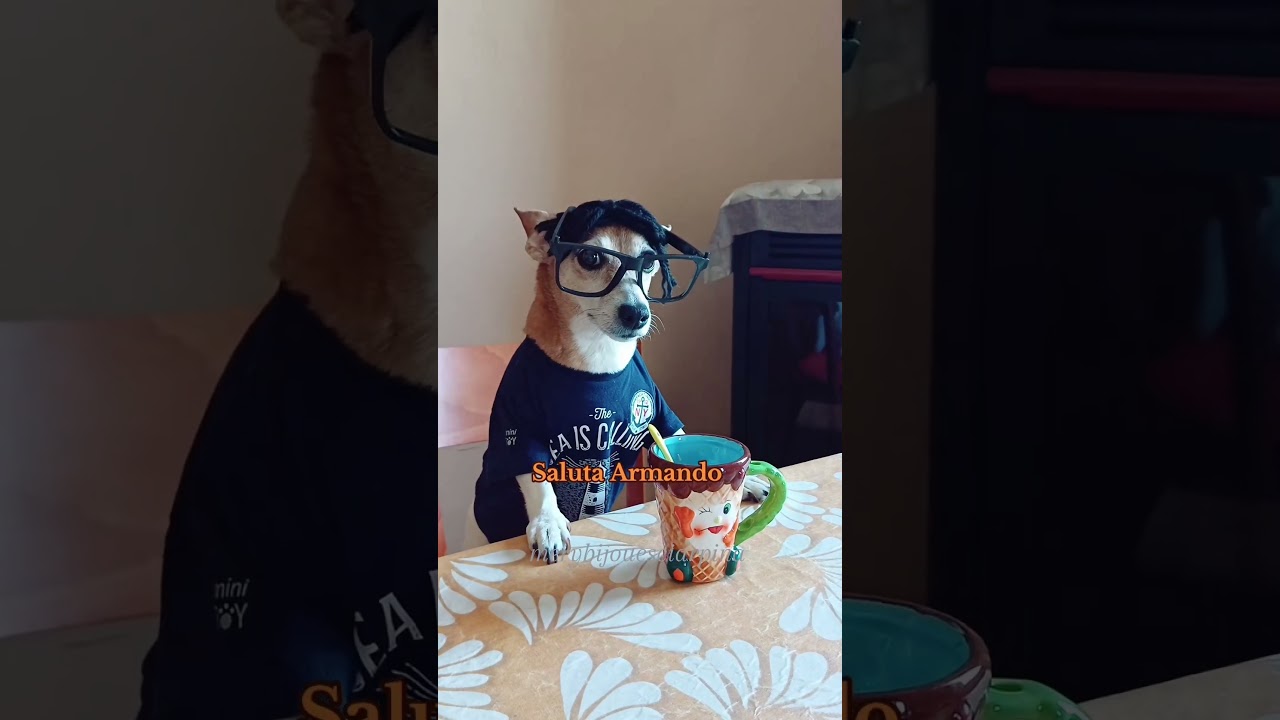 Conoscete la Pimpa? 😂