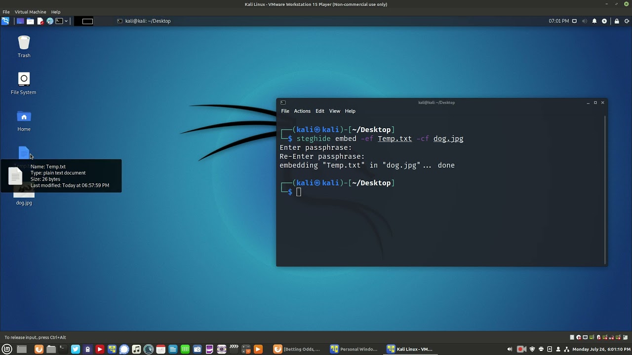 Master Steganography with Steghide in Kali Linux 🔐