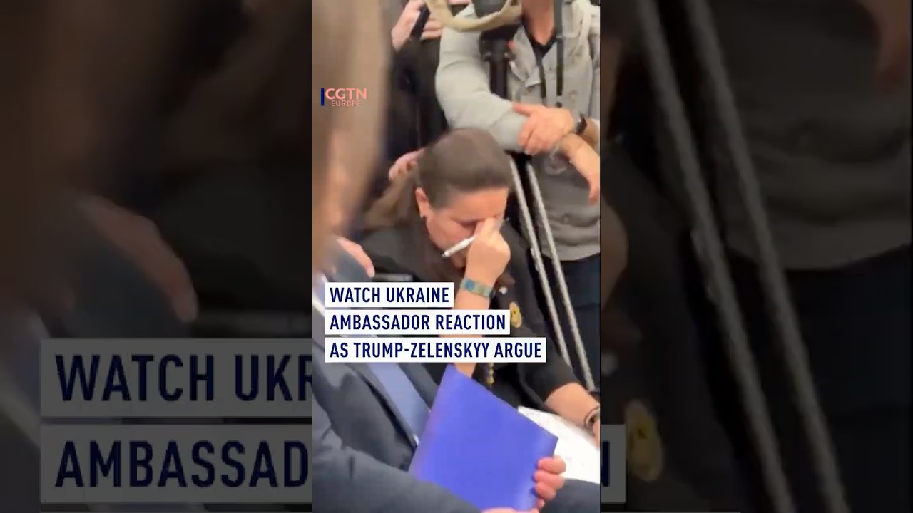 Ukraine's Ambassador Watches Trump-Zelenskyy Tensions 😮