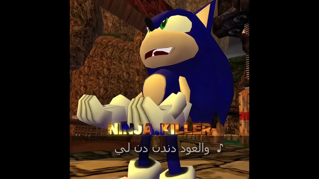Sonic & Muslim Cat Sing Arabic 🎶