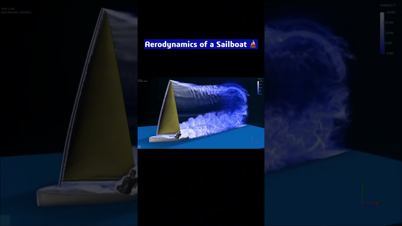 #sailboat #aerodynamics  🌬️ #sailing #scienceexplained 🌊