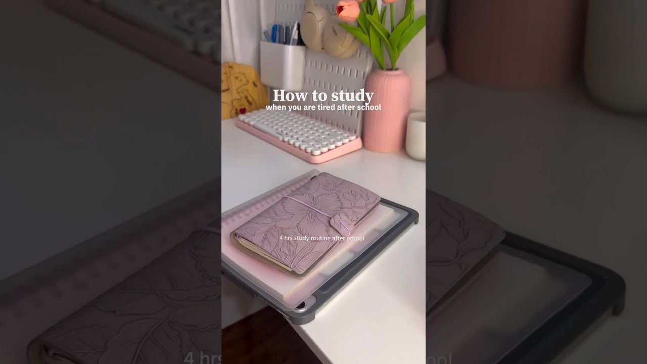 Studying Tips When Tired After School 📚