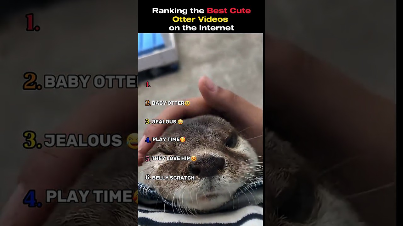 Ranking the best cute otter videos! #shorts #otter #ranking #otter #petvideos #dog #cat #viralvideo