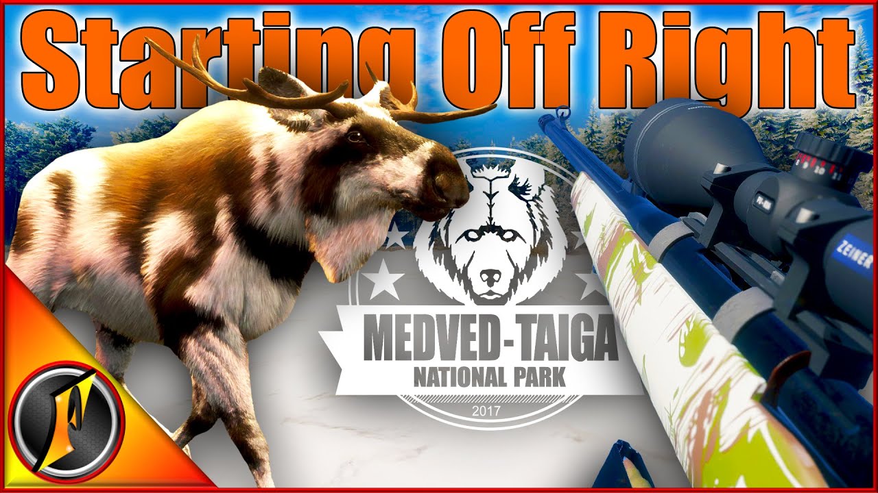 Beginnings of Our Moose Grind 🦌 | Piebald Bull Moose