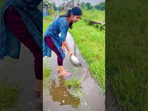 গামলা দিয়ে মাছ ধরছি 😁#video #minivlog #shortvideo #youtubeshorts #vlog #viralvideo #fishing