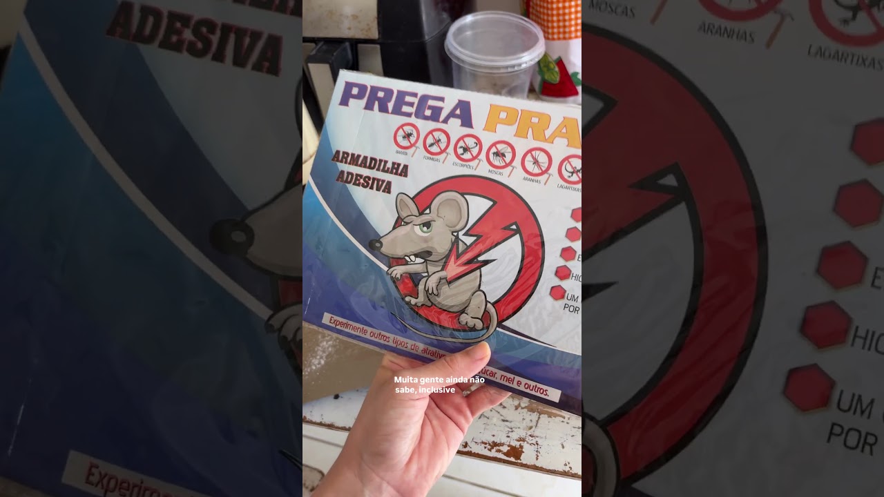 Dica infalível para eliminar moscas 🪰