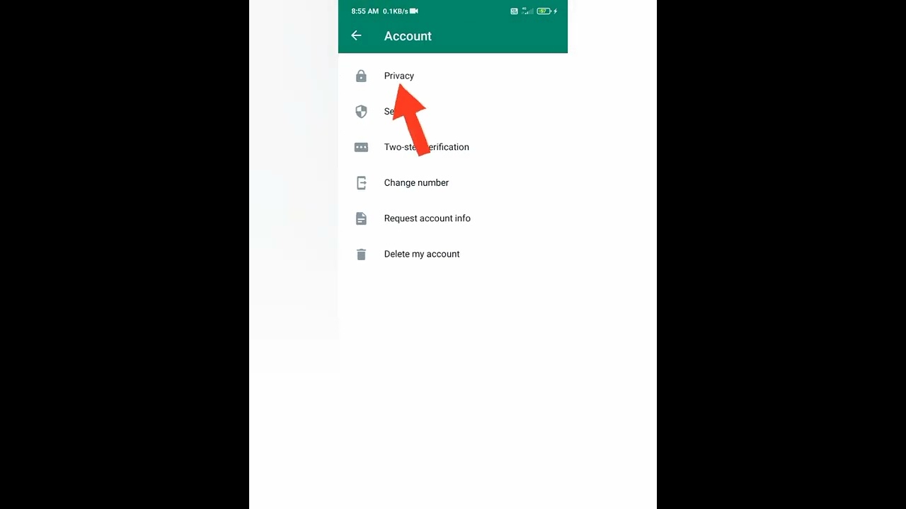 WhatsApp Status: No Seen or Read Receipts 📱