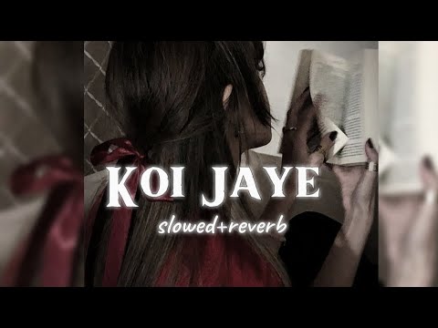 Koi Jaye To Le Aaye | Slowed+reverb | Ghatak | Sunny Deol | Night Vibes🎧