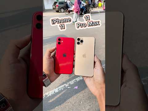 iPhone 11 Vs iPhone 11 Pro Max | Camera Zoom Test! 📸🔥#shorts