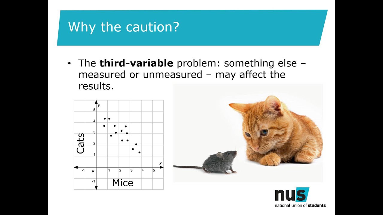 9 Quantitative Data Analysis Basics π