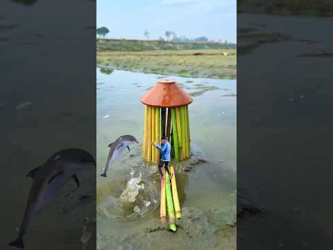 Creative house ๐ videography idea's ๐ฑ๐ #shorts #creative #magic