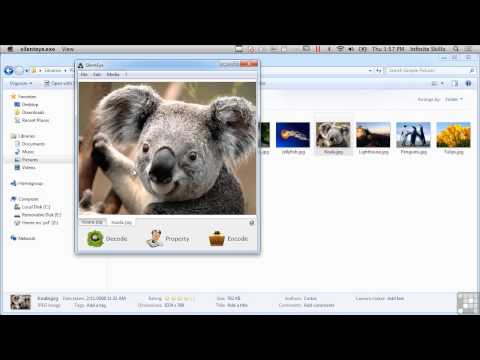 Learning Computer Forensics Tutorial | Steganography Techniques: Images And Video