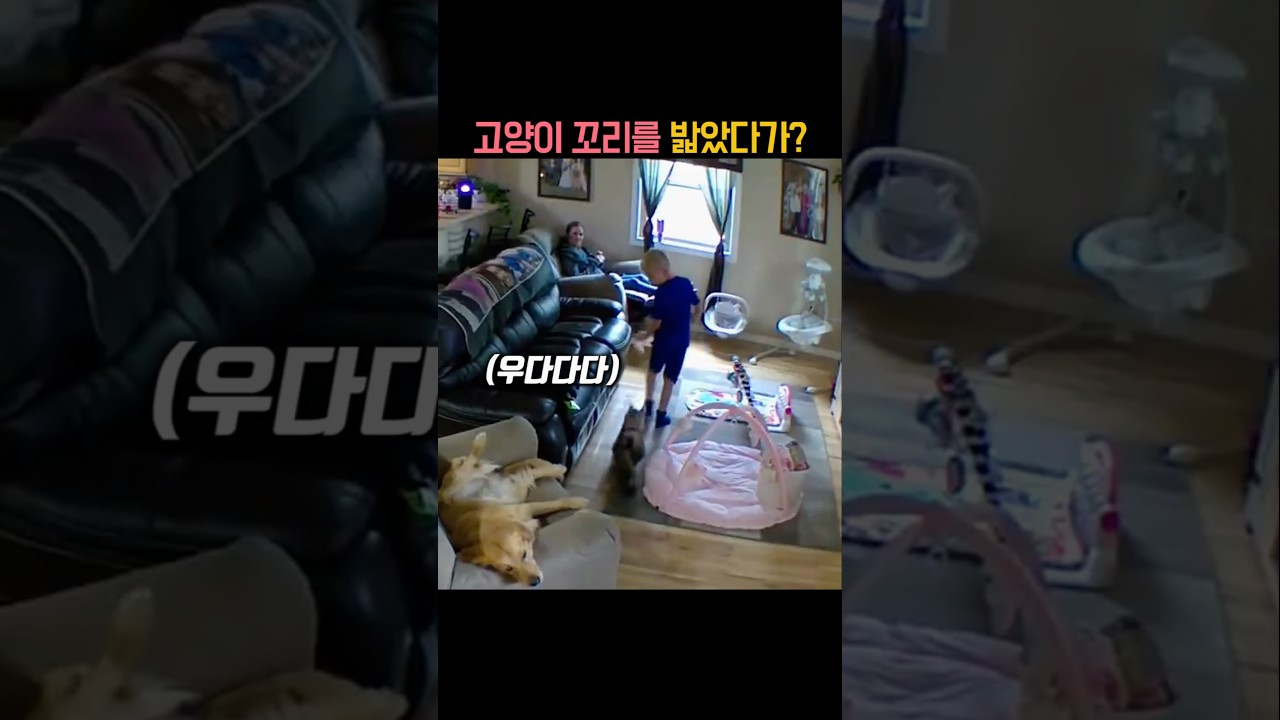 고양이 꼬리 밟았더니? 😂