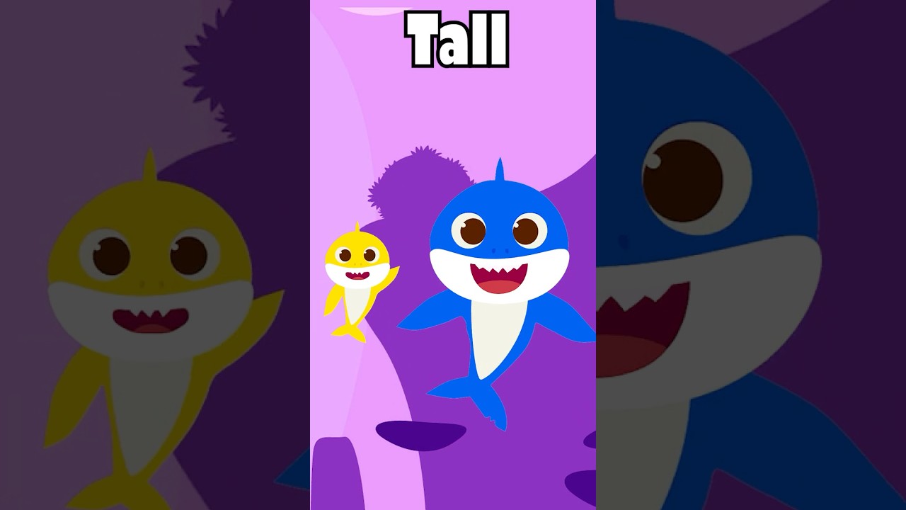 Baby Shark Teaches Opposites for Kids 🦈