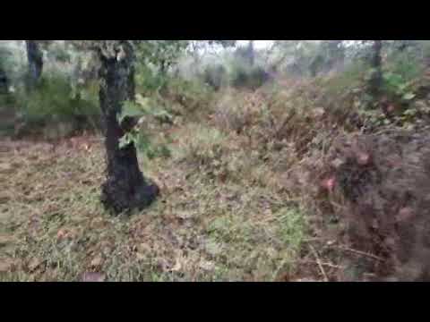 Buenos tardes vamos 💪