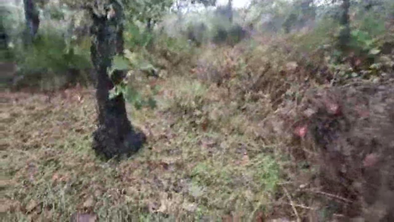 Únete a Nuestro Canal y Disfruta de Ventajas Exclusivas! 🚀