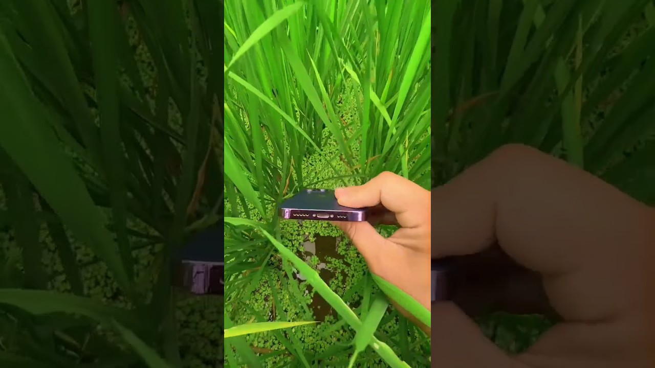 Breathtaking Scenic View π