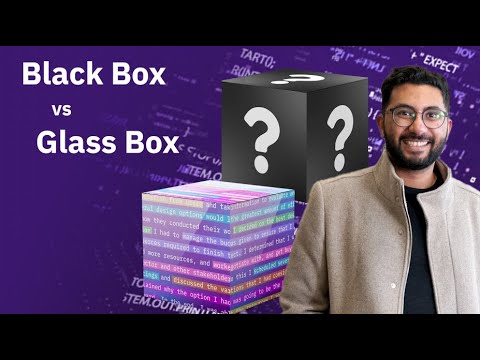 AI Explainer: Black Box vs Glass Box Models