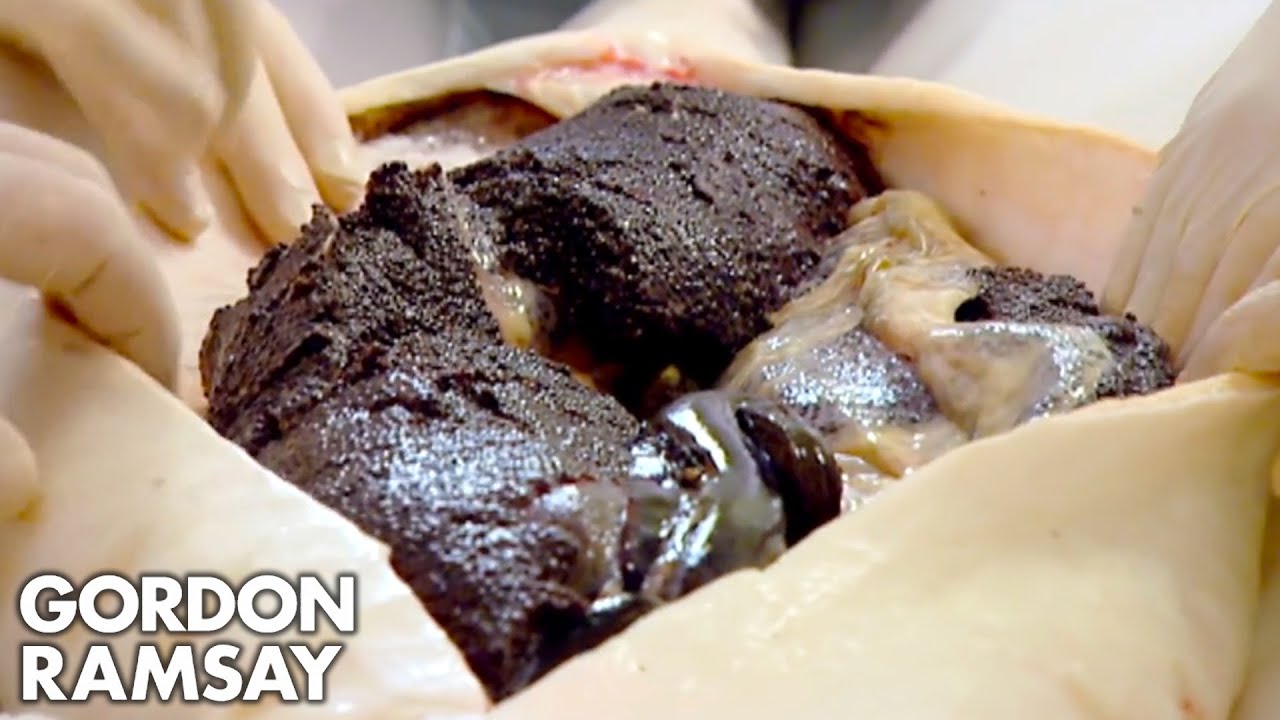 Gordon Ramsay Explores Sustainable Caviar Farming in Spain