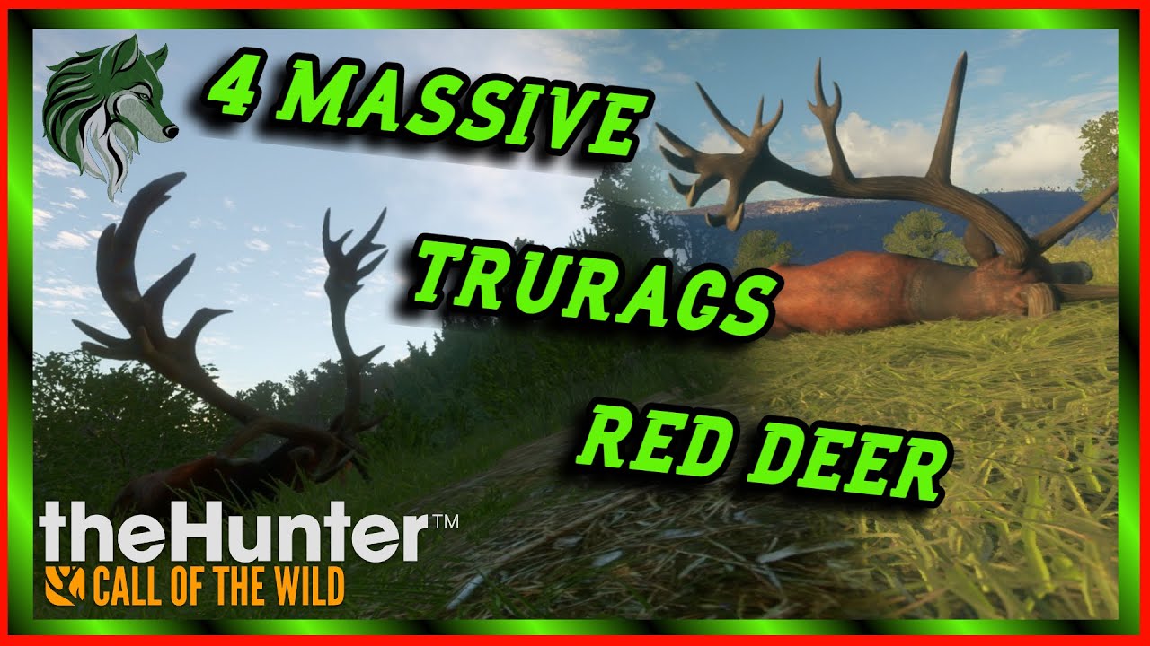 4 Huge Red Deer & Albino in theHunter Call of the Wild 🦌