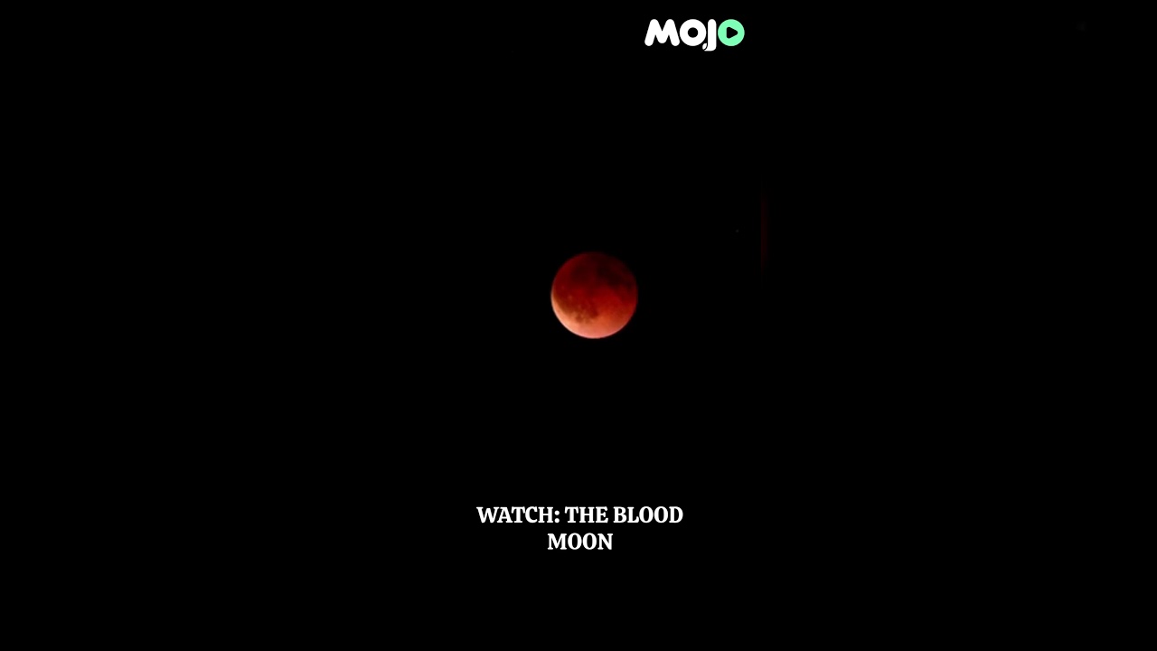 Blood Moon Eclipse Turns Night Sky Red 🌕