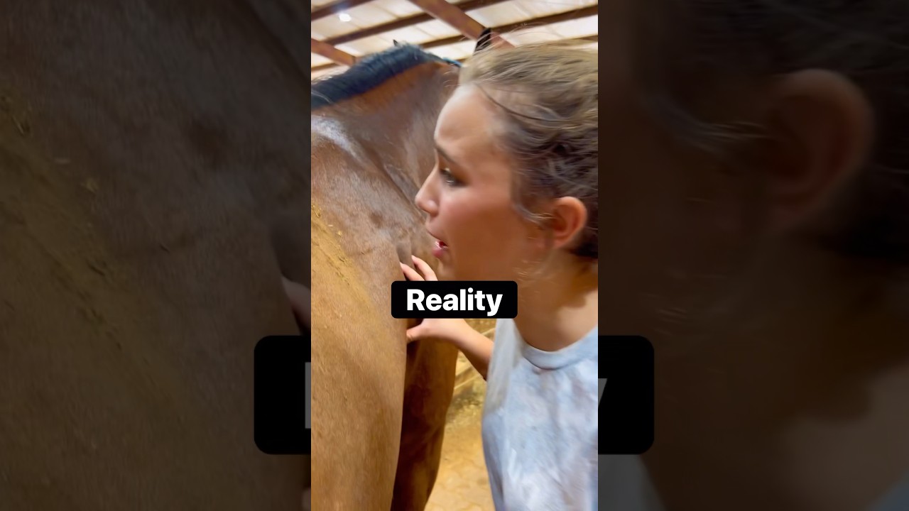 Expectations vs Reality of Owning a Horse ๐ด | Hilarious Horse Owner Moments