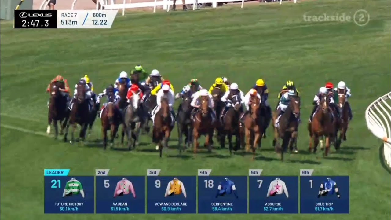 2023 Lexus Melbourne Cup Full Race Replay π β Winner: Without a Fight