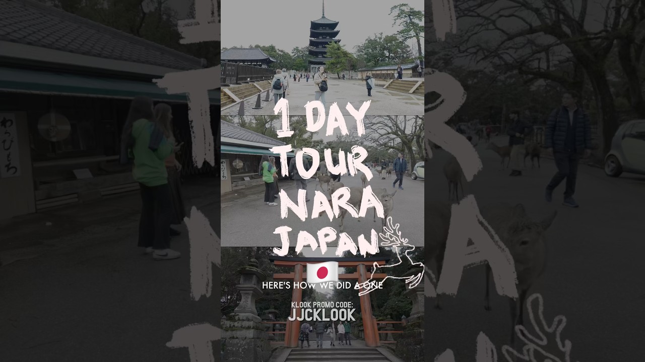 One-Day Nara Tour from Osaka 🇯🇵