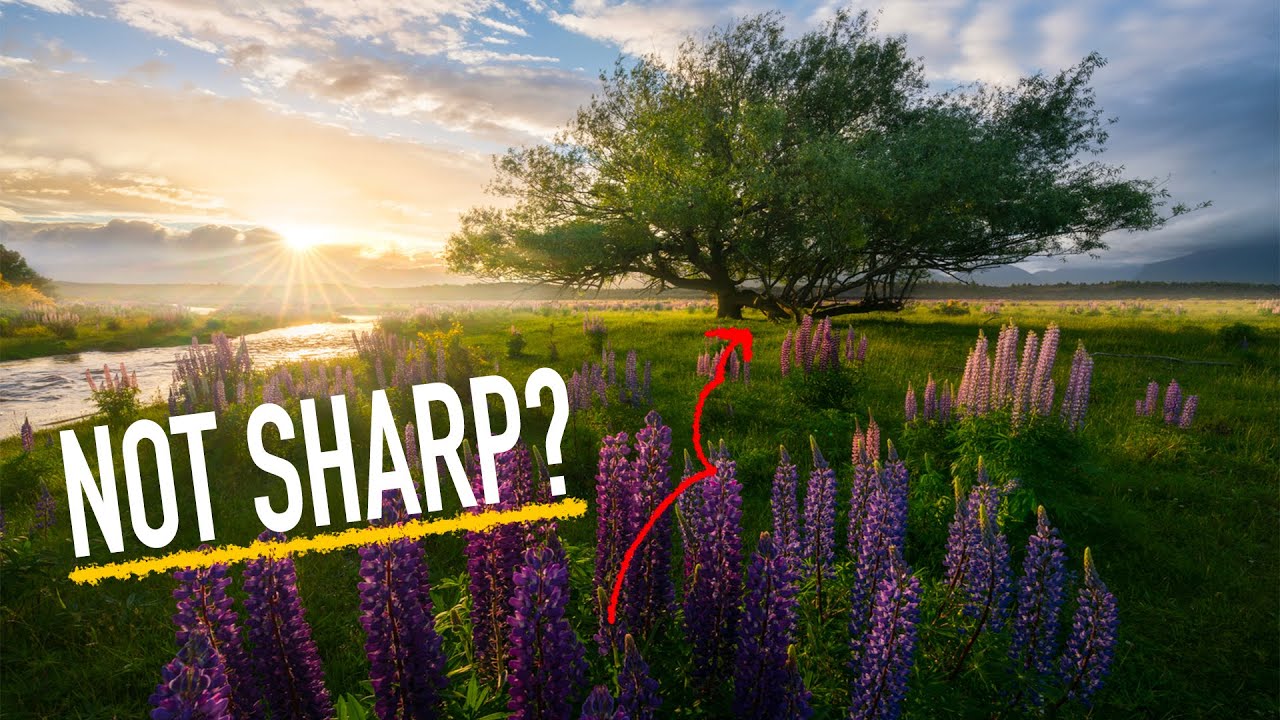 Where To FOCUS In Landscape Photography