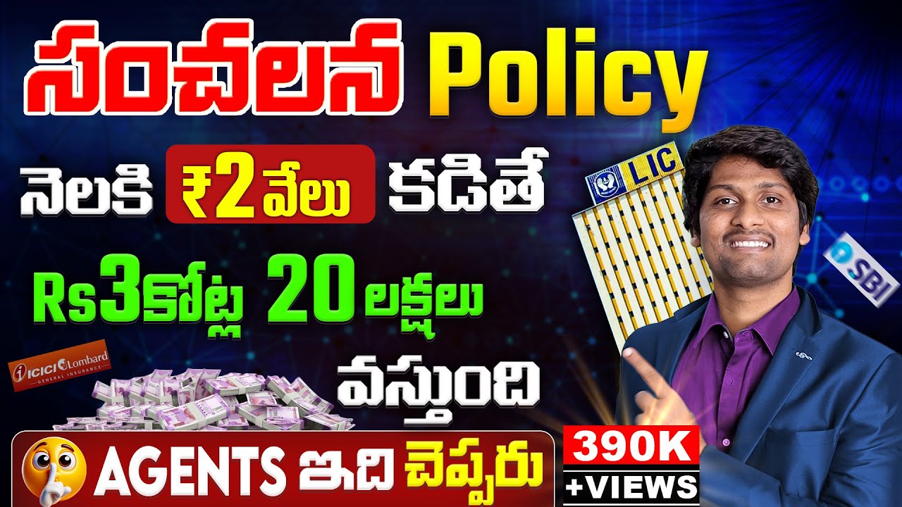 Top Government Schemes & Term Policies