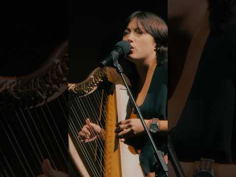 Today's the day! David Gilmour Live at the Circus Maximus, Rome is in cinemas & @imaxmovies