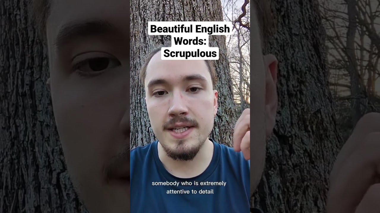 Discover the Beauty of 'Scrupulous' – An Elegant English Word ✨