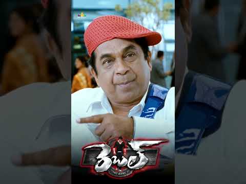 Brahmanandam Ultimate Comedy | #Rebel | #shorts | #youtubeshorts | #SriBalajiVideo