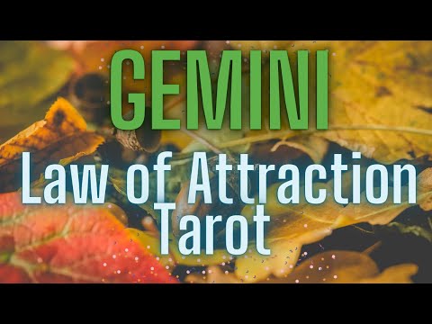 GEMINI Tarot~Money & Love Readings~November 2025💰🌎❤️